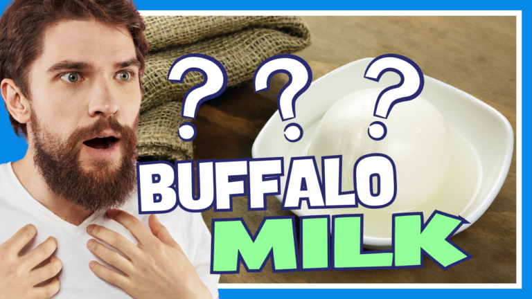 Is Buffalo Mozzarella Made From Buffalo Milk?